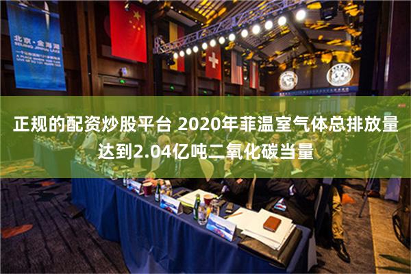 正规的配资炒股平台 2020年菲温室气体总排放量达到2.04亿吨二氧化碳当量