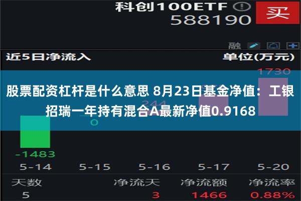 股票配资杠杆是什么意思 8月23日基金净值：工银招瑞一年持有混合A最新净值0.9168