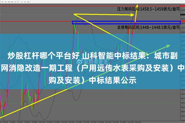 炒股杠杆哪个平台好 山科智能中标结果：城市副中心供水管网消隐改造一期工程（户用远传水表采购及安装）中标结果公示