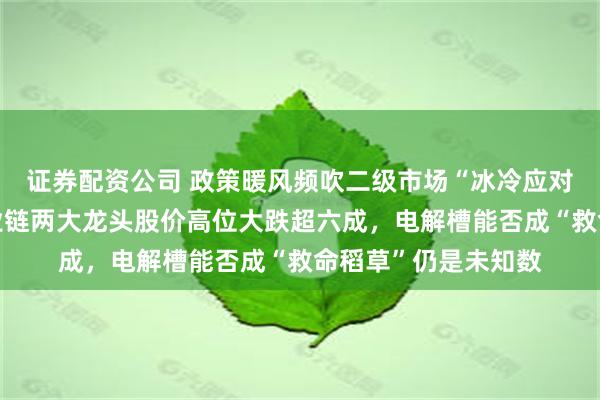 证券配资公司 政策暖风频吹二级市场“冰冷应对”！氢燃料电池产业链两大龙头股价高位大跌超六成，电解槽能否成“救命稻草”仍是未知数