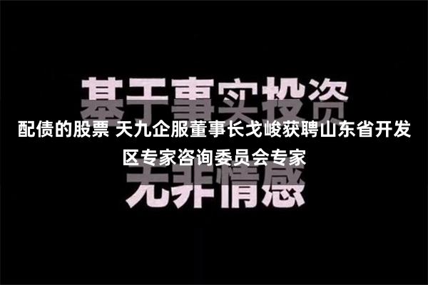 配债的股票 天九企服董事长戈峻获聘山东省开发区专家咨询委员会专家